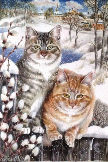 Котятки