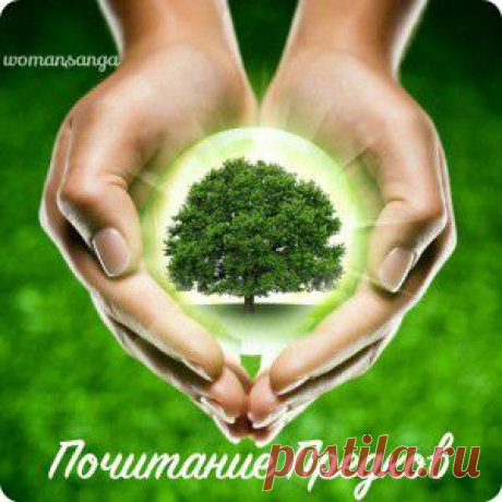 Женская Санга
