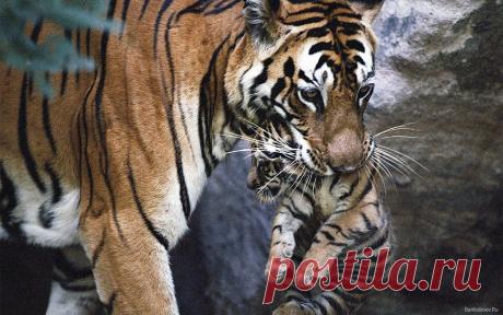 Фотографии на стене сообщества | 19 484 фотографии