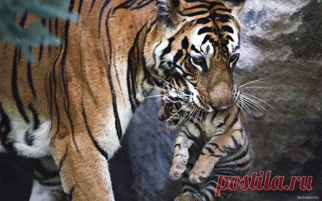 Фотографии на стене сообщества | 19 484 фотографии