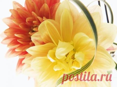 (99) Одноклассники