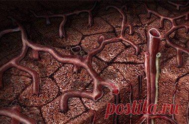 Первые признаки цирроза печени.