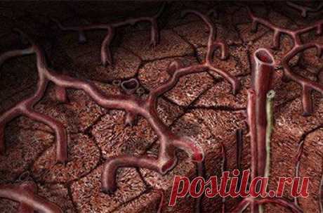 Первые признаки цирроза печени.