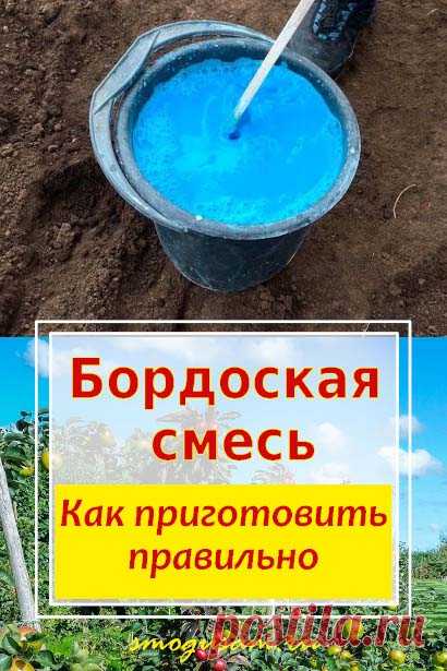 Как правильно приготовить и применять бордоскую смесь. Защита растений от вредителей и болезней.