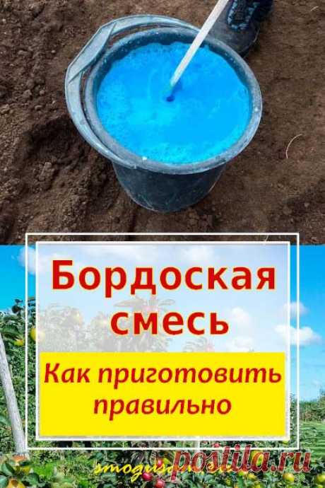 Как правильно приготовить и применять бордоскую смесь. Защита растений от вредителей и болезней.