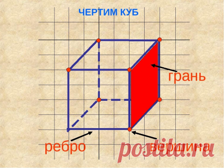 Формулы, которые изменили мир - 1. Эйлерова характеристика | Математика не для всех | Яндекс Дзен