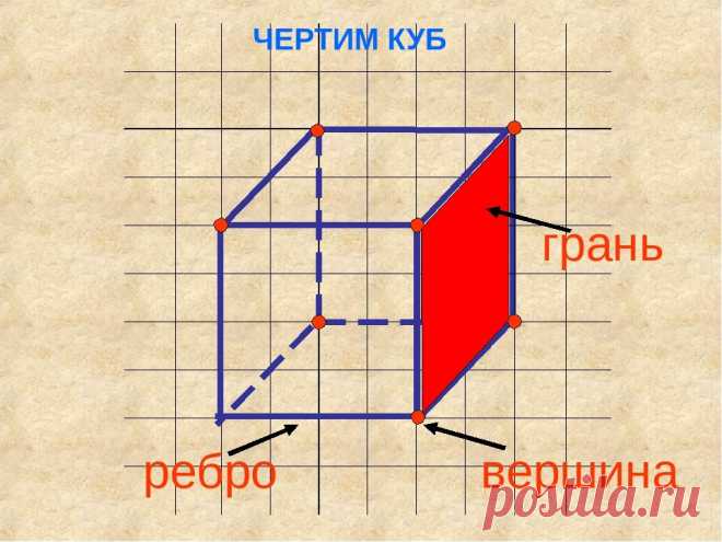 Формулы, которые изменили мир - 1. Эйлерова характеристика | Математика не для всех | Яндекс Дзен