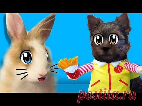КОТ МАЛЫШ И КОШКА МУРКА ОТКРЫВАЮТ ПОДАРКИ ОТ NEWCHIC ! КАНАЛ КРОЛИК БАФФИ и МОДНИЦА МИЛАШКА ПУПСЯ