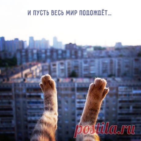 тттттт
