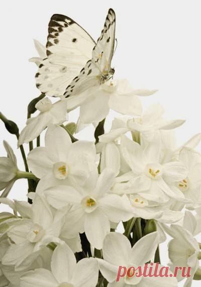 6EtfcIeZ3RI.jpg (400×571)