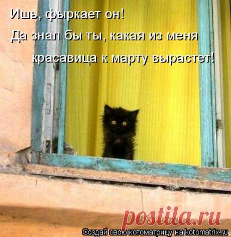Котоматрица: Лучшие за март 2015