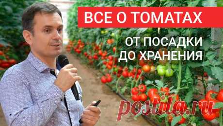 Как выращивать томаты? От посева семян до хранения плодов! Школа ОЖЗ сезон 2, лекция 3:0:07 План семинара0:48 Фильм о успехах проекта "Мичурин-Томаты" в 2019 году7:09 Награждение активных участников проекта "Мичурин-...
