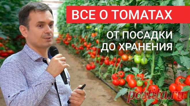 Как выращивать томаты? От посева семян до хранения плодов! Школа ОЖЗ сезон 2, лекция 3:0:07 План семинара0:48 Фильм о успехах проекта 