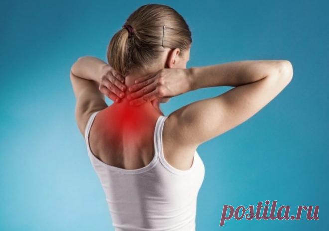 Мышечные зажимы спины и шеи - как избавиться от боли - BATUMI-TODAY.COM