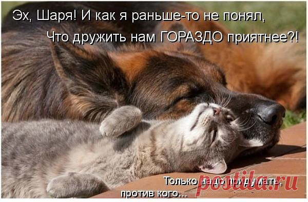 Да  Васёк  дружба она  куда приятнее  чем война