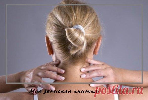 Причины, по которым шея убивает намного больше людей, чем онкологические болезни | моя записная книжка | Яндекс Дзен
