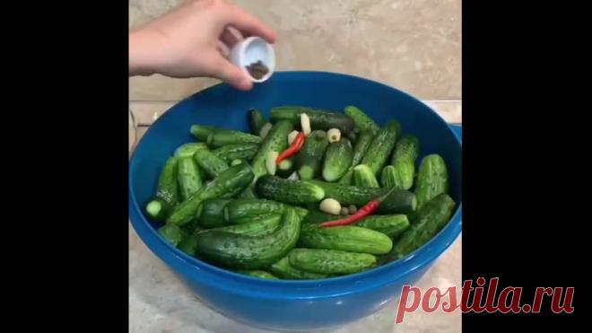 Очень быстрый и вкусный рецепт малосольных огурцов 

ОГУРЦЫ - 4 кг
ЧЕСНОК - 1 головка
ОСТРЫЙ ПЕРЕЦ  - 2 шт(если перец большой, то 1 шт)
ДУШИСТЫЙ ПЕРЕЦ - 20-25 горошин
ОСТРЫЙ ПЕРЕЦ ГОРОШКОМ - 15 шт
ЛАВРОВЫЙ ЛИСТ - 4 шт
ХРЕН - 2-3 листа
СУШЕНЫЙ УКРОП - 2-3 ветки
ВОДА ДЛЯ РАССОЛА - 3 литра- 3 ст.л соли с горкой.
На 1 литр воды- 1 ст.л соли с горкой.