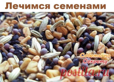 Лечимся семенами.
Именно в семенах растения сохраняют все лучшее до следующего урожая. Поэтому и эффект от лечения ими более выраженный.
* Морковь. Семена моркови, растолченные в порошок и принимаемые до еды, помогают избавится от камней и песка в желчном пузыре и почках.
* Тмин. При бронхите и воспалении легких принимайте 0,5 ч. ложки семян в день.
* Петрушка. Если у вас сердечная недостаточность, то 2-3 раза в день за полчаса до еды принимайте по 0,5 г порошка семян петр...