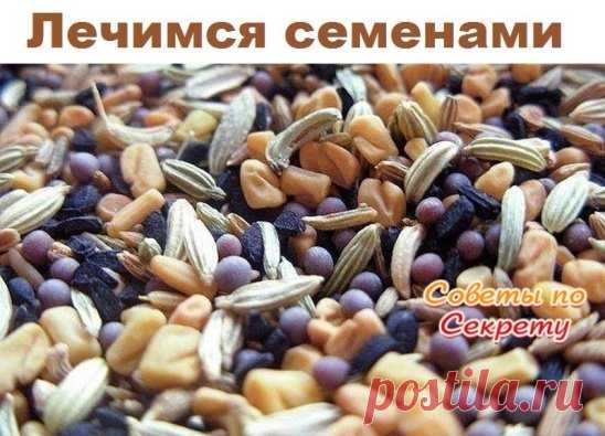 Лечимся семенами.
Именно в семенах растения сохраняют все лучшее до следующего урожая. Поэтому и эффект от лечения ими более выраженный.
* Морковь. Семена моркови, растолченные в порошок и принимаемые до еды, помогают избавится от камней и песка в желчном пузыре и почках.
* Тмин. При бронхите и воспалении легких принимайте 0,5 ч. ложки семян в день.
* Петрушка. Если у вас сердечная недостаточность, то 2-3 раза в день за полчаса до еды принимайте по 0,5 г порошка семян петр...
