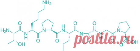Селанк | Восполняет нехватку Тафцина в организме
