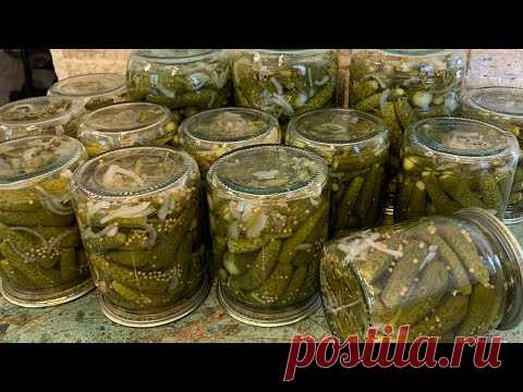 Маринованные кисло-сладкие корнишоны с горчицей,как покупные!
