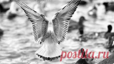 15 вещей, о которых вы не обязаны отчитываться и оправдываться – Фитнес для мозга