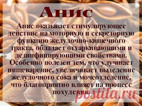 Гид по специям