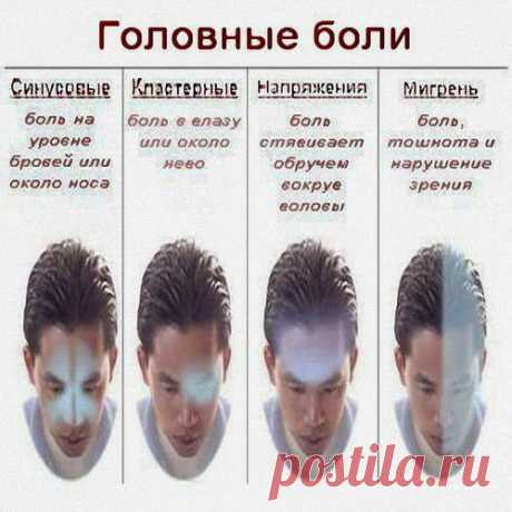 От головы больной | Друг пенсионера
Если появилась так знакомая многим головная боль, можно ненадолго (на минуту), но достаточно интенсивно зажать пальцами переносицу. Станет определенно легче.