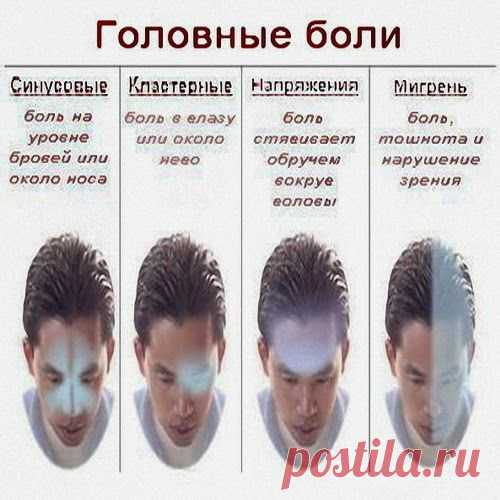 От головы больной | Друг пенсионера
Если появилась так знакомая многим головная боль, можно ненадолго (на минуту), но достаточно интенсивно зажать пальцами переносицу. Станет определенно легче.