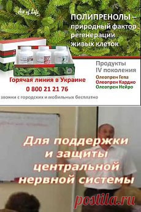 АРТЛАЙФ видио | Фотографии и советы на Постиле