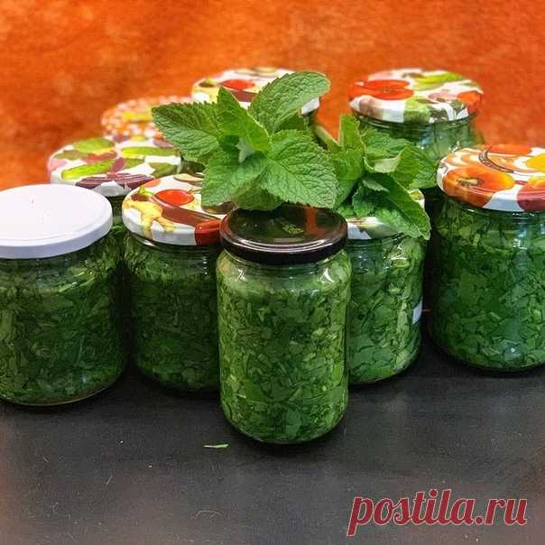 Щавель на зиму
⠀
Мои первые в этом году заготовки на зиму - щавель ! А знаете ли вы , что щавель можно консервировать без соли и термической обработки? Нужна всего лишь тара и чистая вода . Щавелевая кислота и дубильные вещества , содержащиеся в щавеле , являются прекрасными натуральными консервантами , и сама заготовка не теряет своих полезных свойств и вкусовых качеств!
⠀
Щавель моем , режем только листочки ( черешки я выбрасываю),банки с завинчивающимися крышками мою, о...