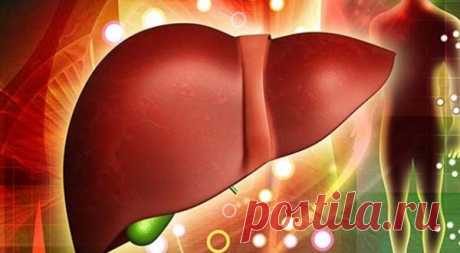 Употребляйте эти шесть продуктов, которые легко очистят вашу печень Среди многочисленных, часто фантастических растительных детоксикантов, выберите нижеследующие шесть натуральных продуктов, способных очистить Вашу печень.