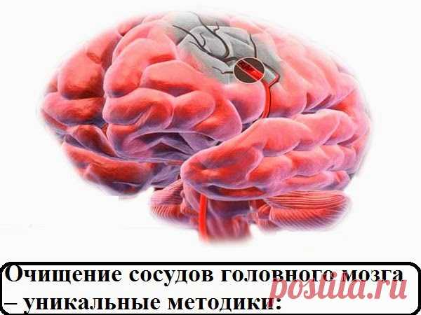 Всё самое интересное!: Очищение сосудов головного мозга