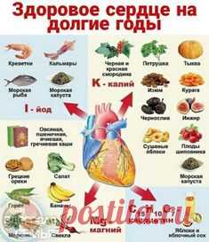 ПРАВИЬНОЕ ПИТАНИЕ