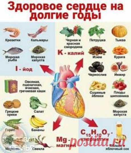 ПРАВИЬНОЕ ПИТАНИЕ