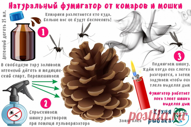 Натуральный фумигатор от комаров и мошки | Кухня рыбака | Яндекс Дзен