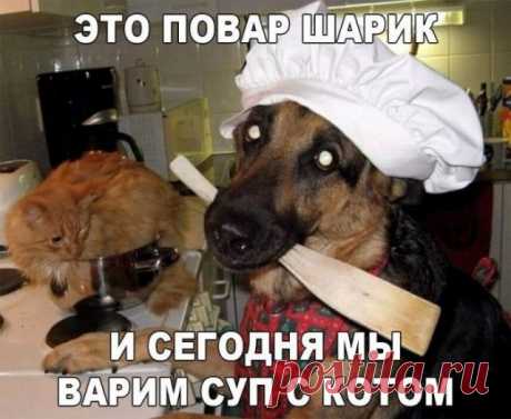 юмор настроение поднятия настроения прикольные картинки – Google Поиск