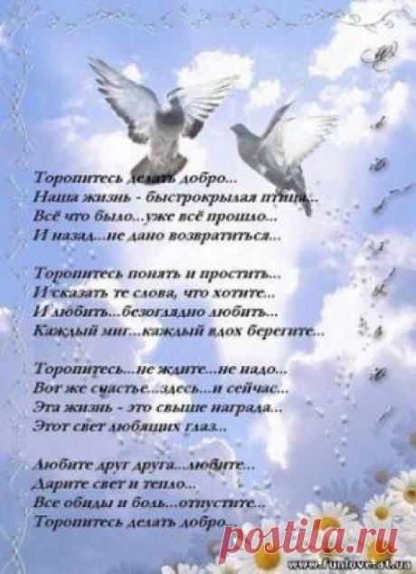 (67) Одноклассники