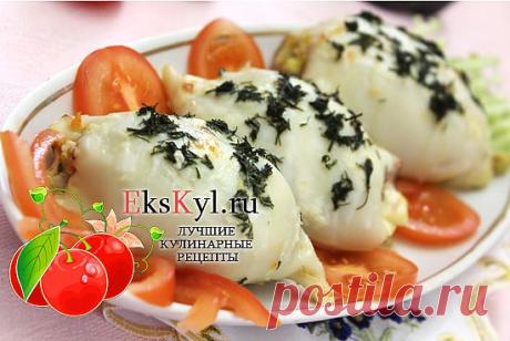 Фаршированные кальмары | Ekskyl
