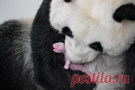 Фотографии о том, что без мам этот мир был бы не таким теплым