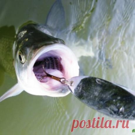 50 откровенных фактов о русском народе