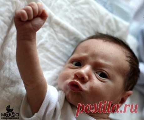 Сиську мне! Быстроооооо!!! 😃 😂 / Царский пир