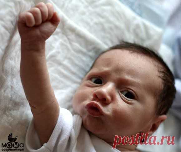 Сиську мне! Быстроооооо!!! 😃 😂 / Царский пир