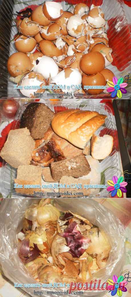 Удобрение для дачи..