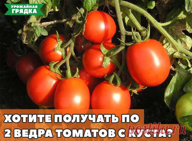 3 непрочитанных чата
