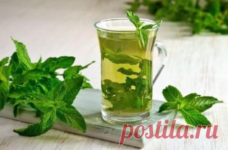 Целебный напиток для очищения печени и улучшения пищеварения