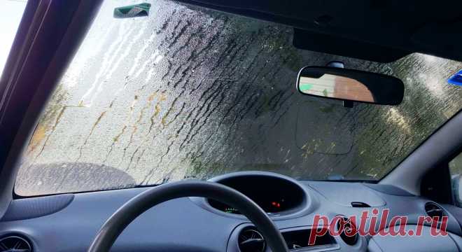 Научный способ как высушить стекла и салон машины от конденсата в 2-3 раза быстрее В салон автомобиля неизбежно попадает влага. Из-за разницы температуры внутри машины и снаружи она конденсируется на стеклах, от чего сквозь них ничего не видно. Производители автомобилей придумали несколько эффективных способов борьбы с этим, такие как обдув или электроподогрев стекол. Однако есть