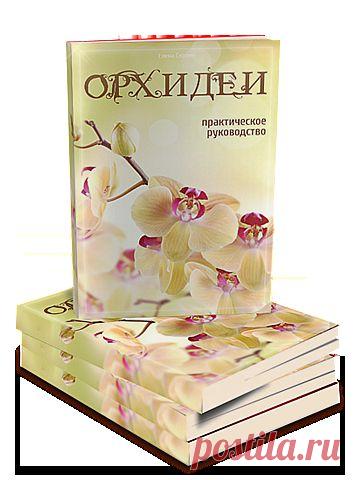 Трафареты для декора стен