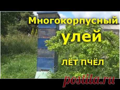 Многокорпусный улей  - видео пчеловодство - YouTube