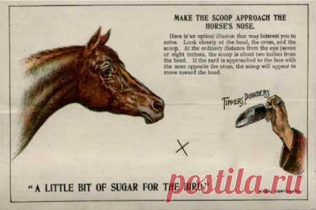 ⌘ ЗАРЯДКА ДЛЯ ГЛАЗ ⌘

Дай лошади лечебный порошок!
(реклама лекарств для лошадей начала 20 века)

Показать полностью...